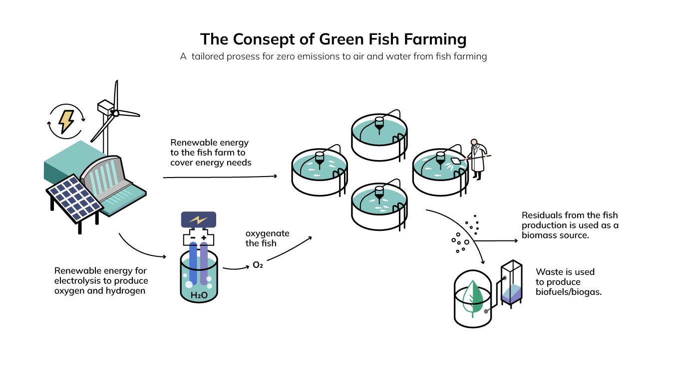 Green Fish Farming Concept illustration