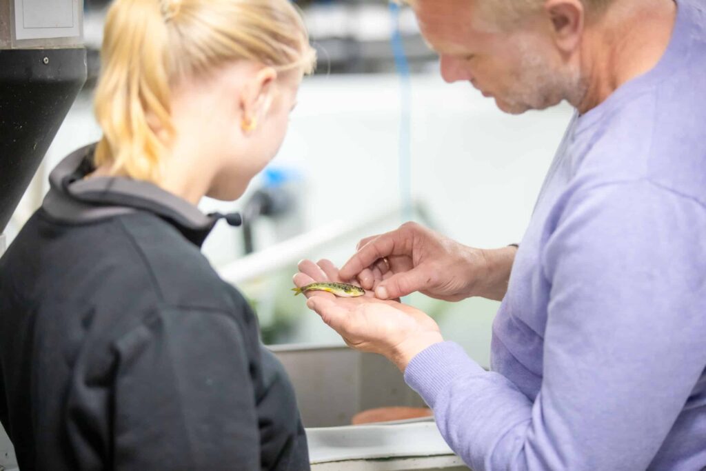 BioFish production facility in Ljones close to the Hardangerfjord on the west coast of Norway